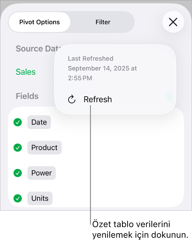 Özet tabloyu yenileme seçeneğini gösteren Özet Seçenekleri menüsü.