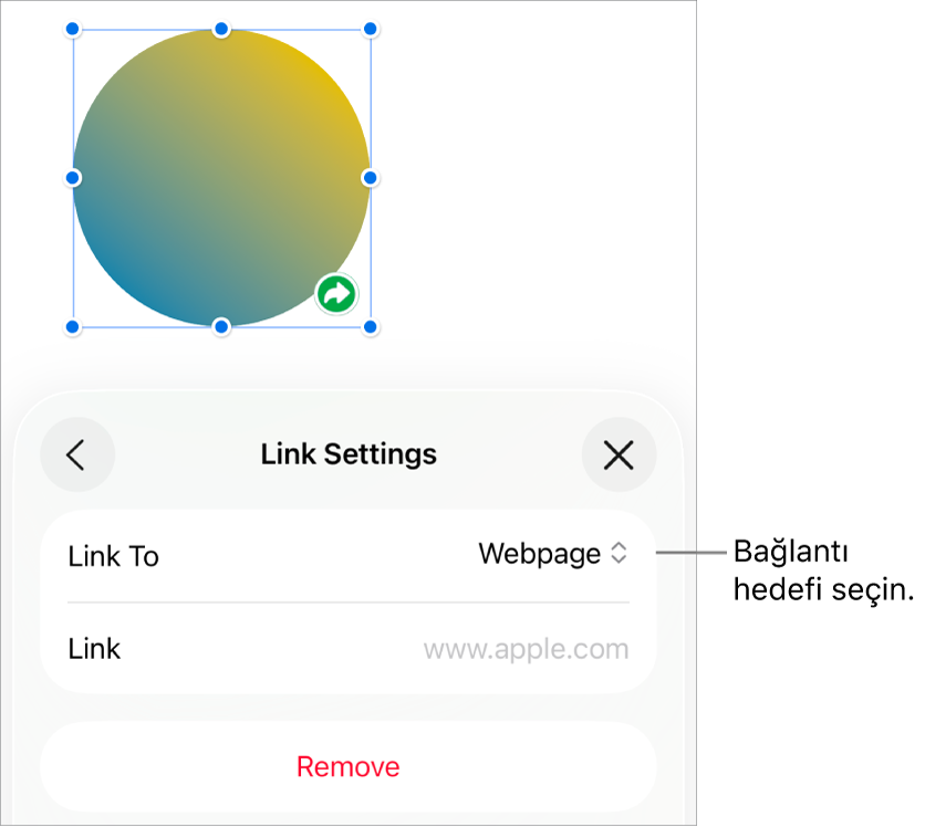 Bağlantı Ayarları denetimlerinde Web Sayfası seçili, en altta ise Sil düğmesi bulunuyor.