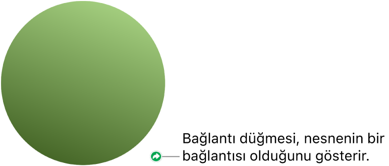 Şekildeki bağlantı düğmesi.