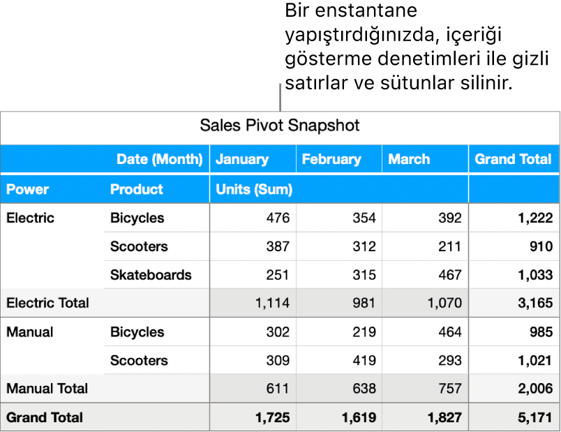 Özet tablo enstantanesi.