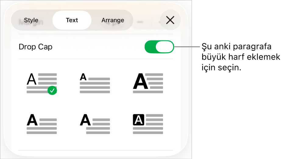 Metin menüsünde yer alan İlki Büyük Harf denetimleri.