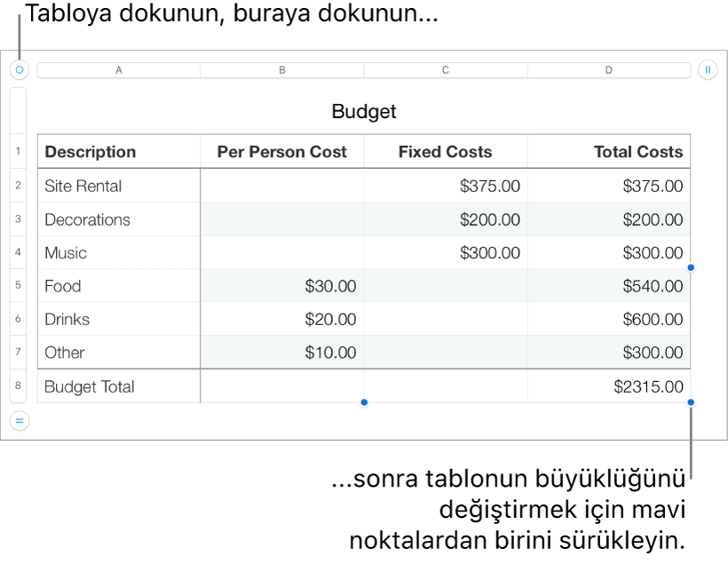 Yeniden boyutlandırma için mavi noktaları bulunan seçili bir tablo.