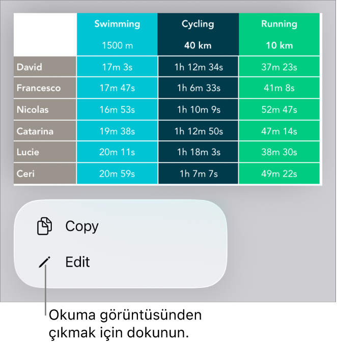 Bir tablo seçilir, altında Kopyala ve Düzen düğmeleri ile bir menü bulunur.