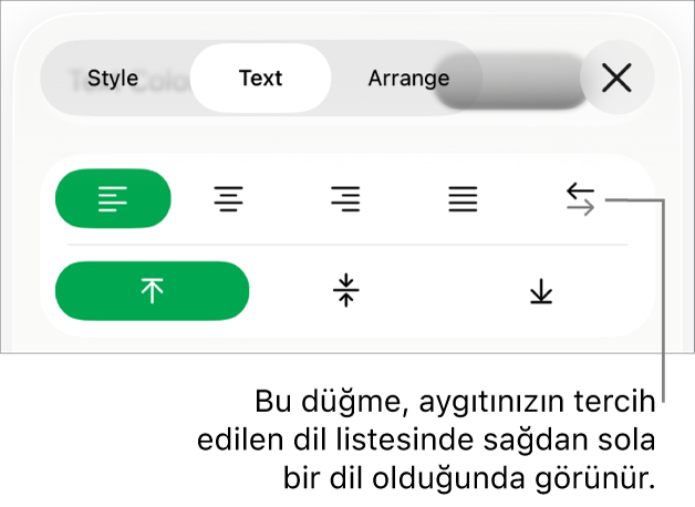 Sağdan Sola düğmelerini bir belirtme çizgisiyle gösteren Biçim menüsünün Stil bölümü.