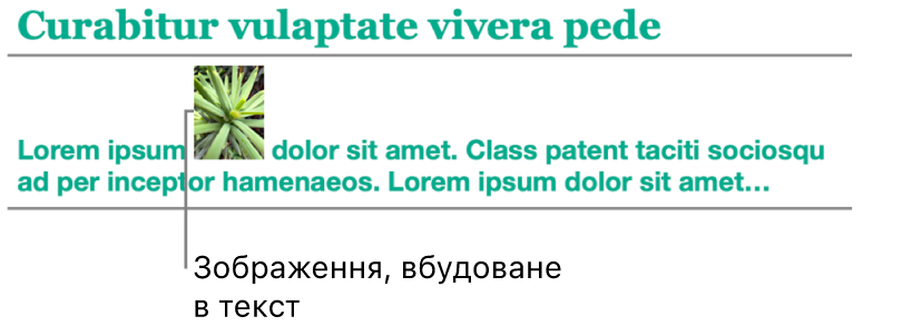 Зображення вбудоване в текст.
