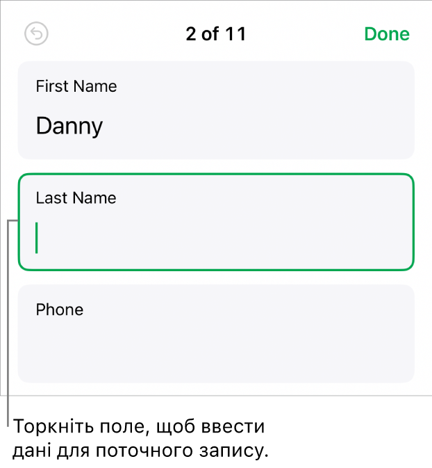 Запис у формі з активним полем і точкою вставлення.