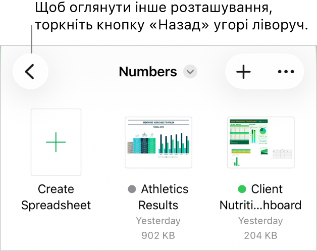 Якщо менеджер документів перебуває в режимі огляду, у верхньому лівому куті відображатиметься посилання на місце, а під ним — поле пошуку. У верхньому правому кутку розташовані кнопки «Додати е‑таблицю» і «Більше». У нижній частині екрана знаходяться кнопки «Останні» та «Огляд».