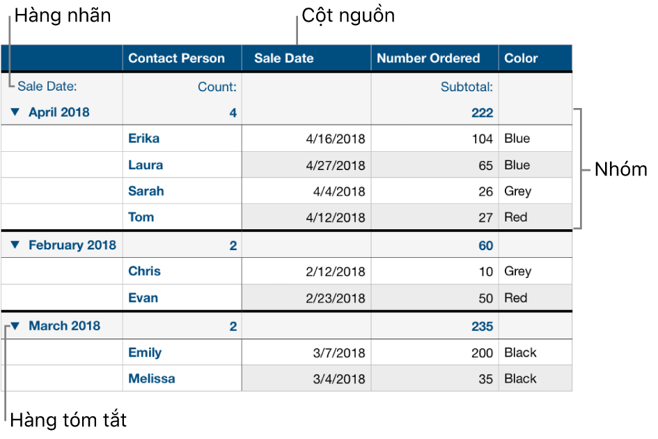 Một bảng được phân loại đang hiển thị cột nguồn, nhóm, hàng tóm tắt và hàng nhãn.