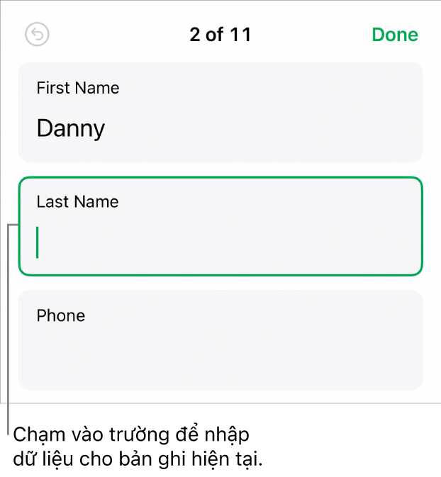 Hồ sơ là biểu mẫu đang hiển thị trường hoạt động với dấu chèn.