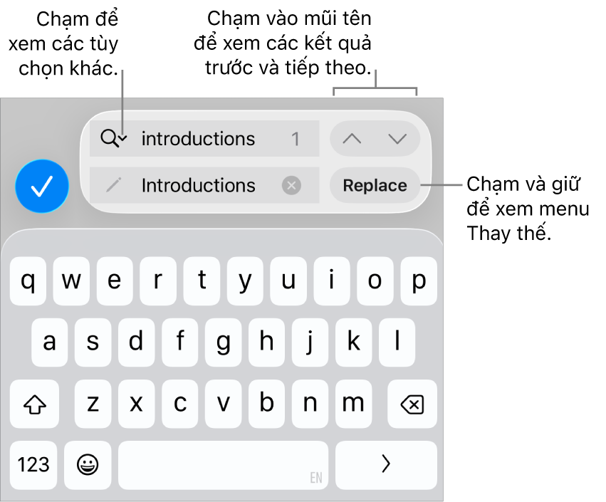 Các điều khiển Tìm & Thay thế bên trên bàn phím với chú thích đến các nút Tùy chọn tìm kiếm, Thay thế, Đi lên và Đi xuống.