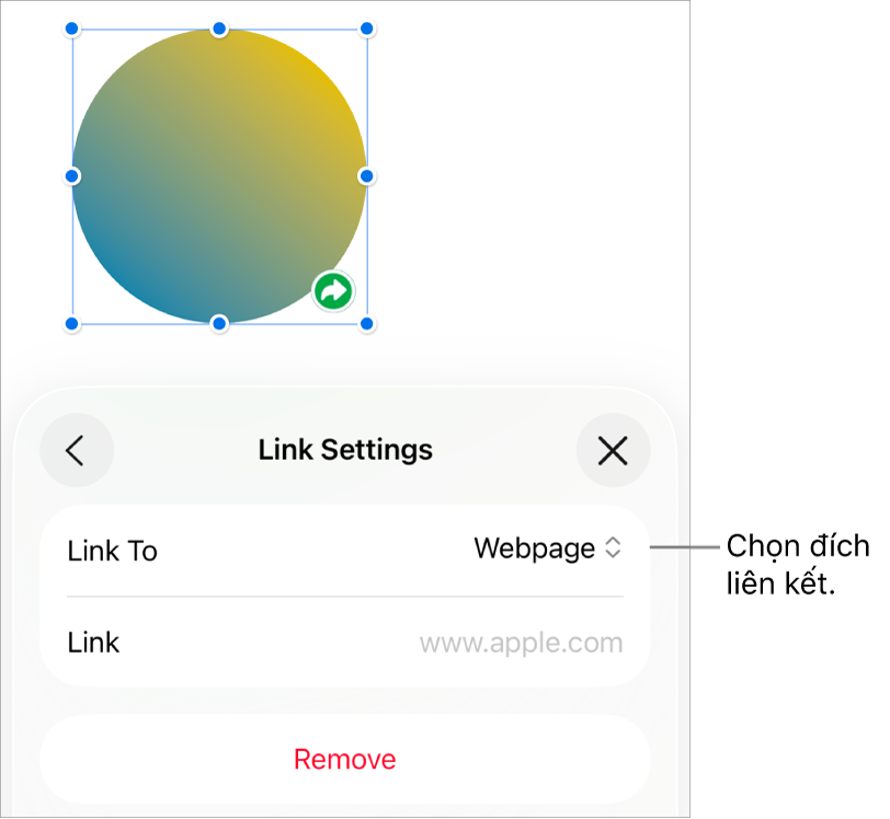Các điều khiển Cài đặt Liên kết với Trang web được chọn và nút Xóa nằm ở cuối.