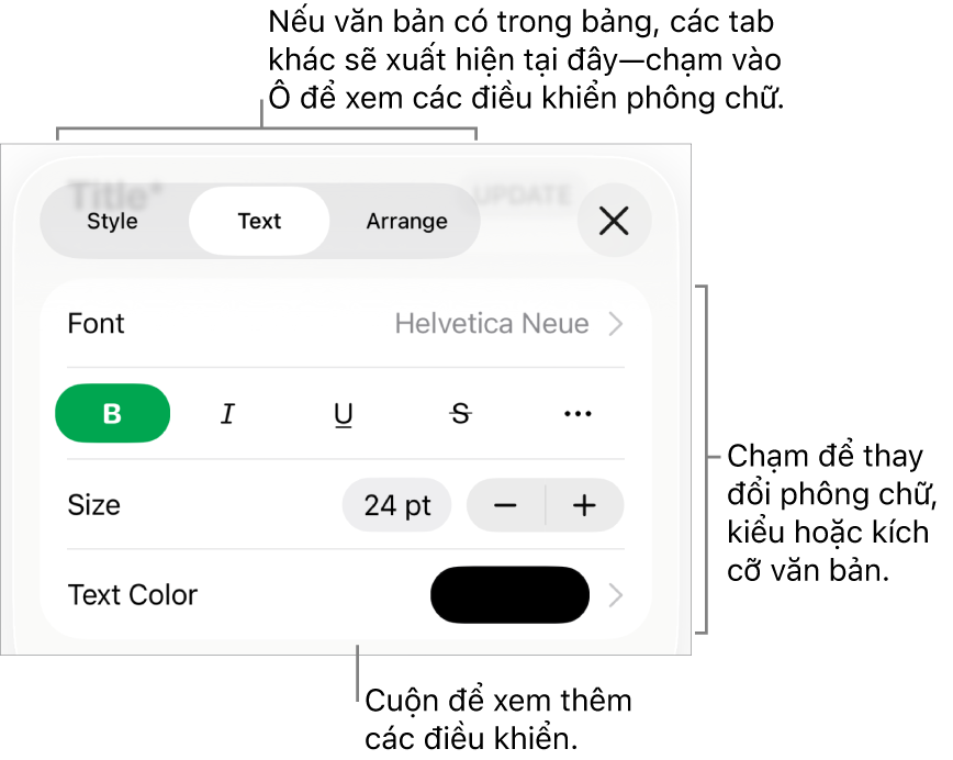 Các điều khiển văn bản trong menu Định dạng để đặt kiểu, phông chữ, kích cỡ và màu của đoạn và ký tự.