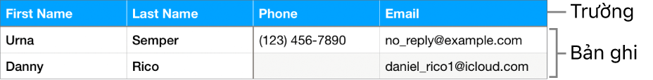 Một bảng được thiết lập đúng cách để sử dụng với biểu mẫu, với hàng tiêu đề bao gồm các nhãn trường và danh sách các hồ sơ đang hiển thị thông tin liên hệ cho bảng phân công đội thể thao.