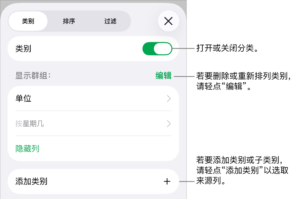 iPhone 上的“类别”菜单带有以下选项：关闭类别、删除类别、重新成组数据、隐藏来源列和添加类别。