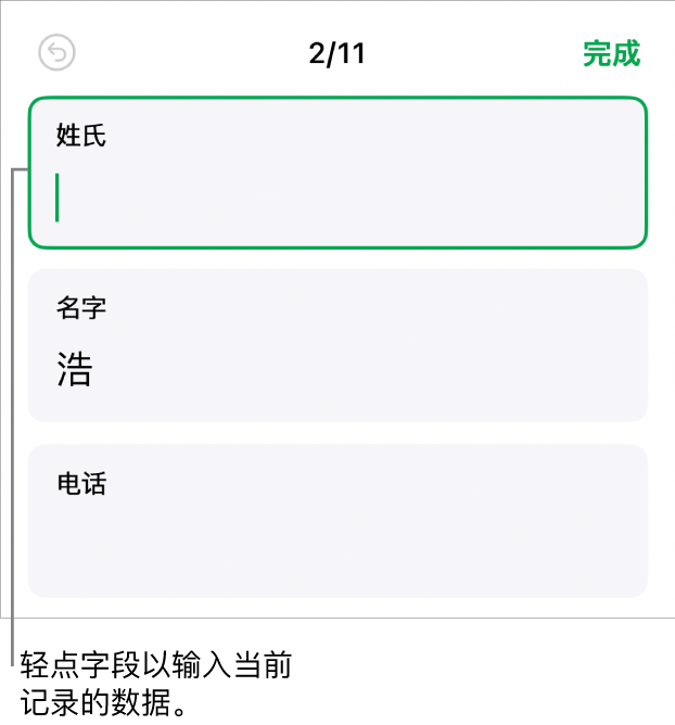 表单中的记录显示带插入点的活跃字段。