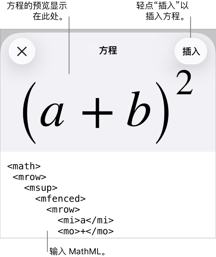 “方程”对话框，显示使用 MathML 命令所写的方程，以及上方公式的预览。