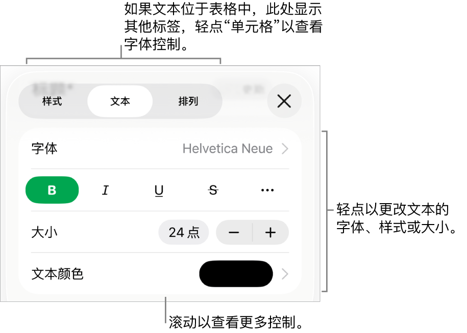“格式”菜单中的“文本”控制，用于设定段落和字符样式、字体、大小和颜色。
