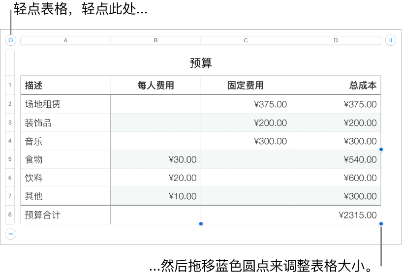 所选表格，含用于调整大小的蓝色圆点。
