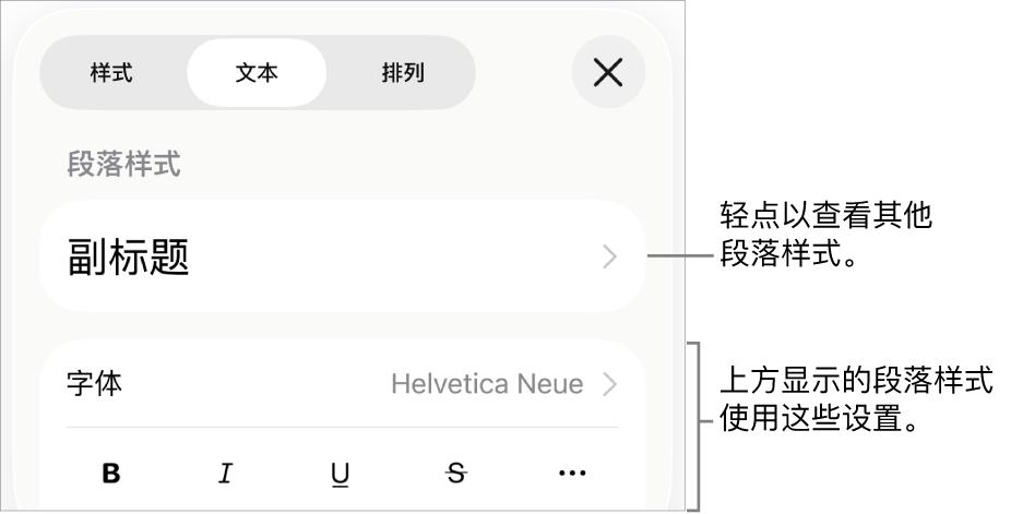 显示文本控制的“格式”菜单，用于设定段落和字符样式、字体、大小和颜色。