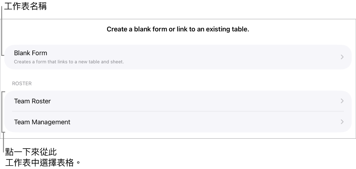 表格列表在同一個試算表上顯示，以及最上方顯示製作空白表單的選項。