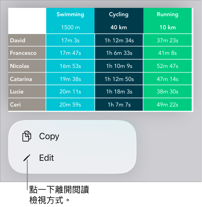 已選擇表格,其下方是包含「複製」和「編輯」按鈕的選單。