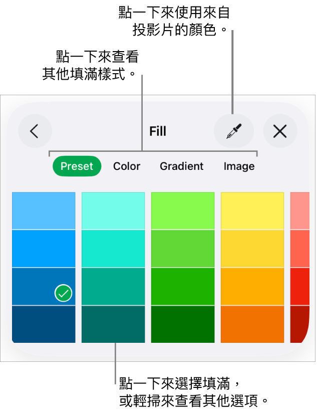 「格式」按鈕其「樣式」分頁中的填滿選項。