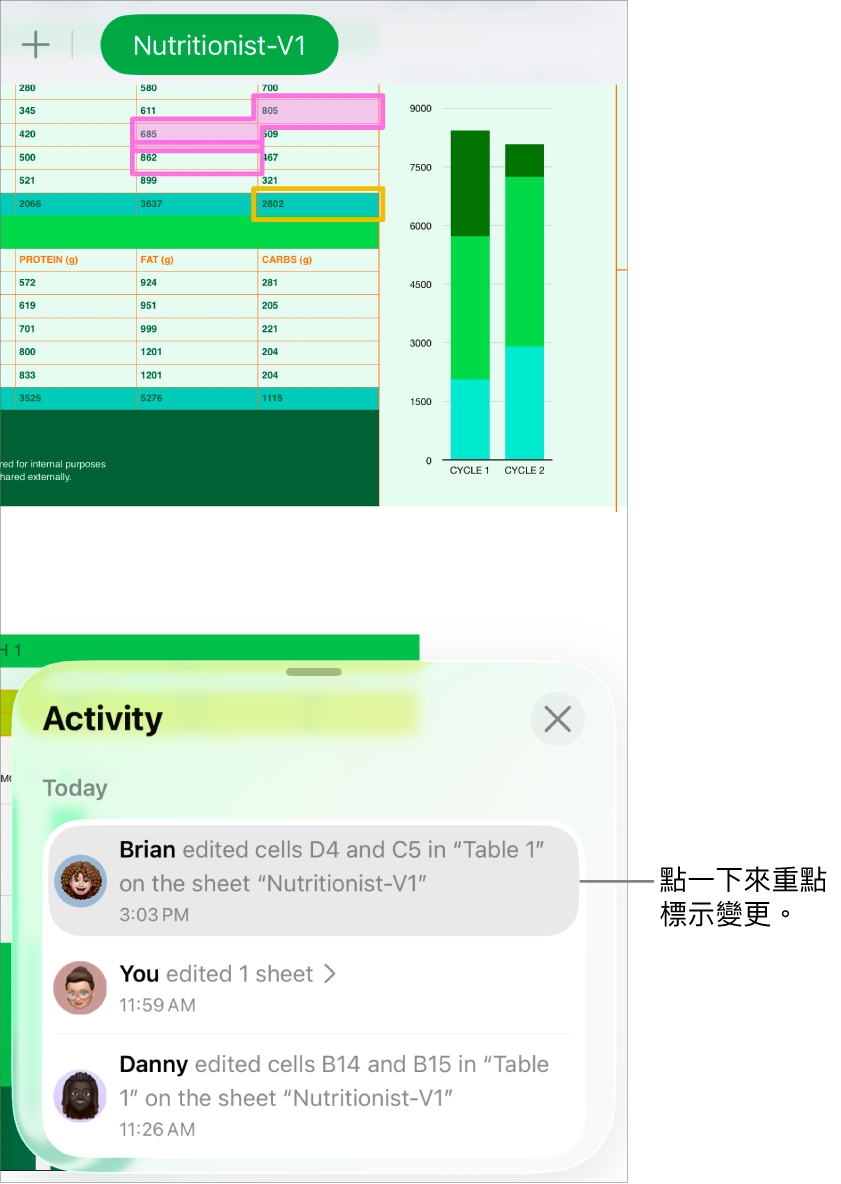 共同編輯試算表，其中共同編輯選單和活動列表都已開啟。