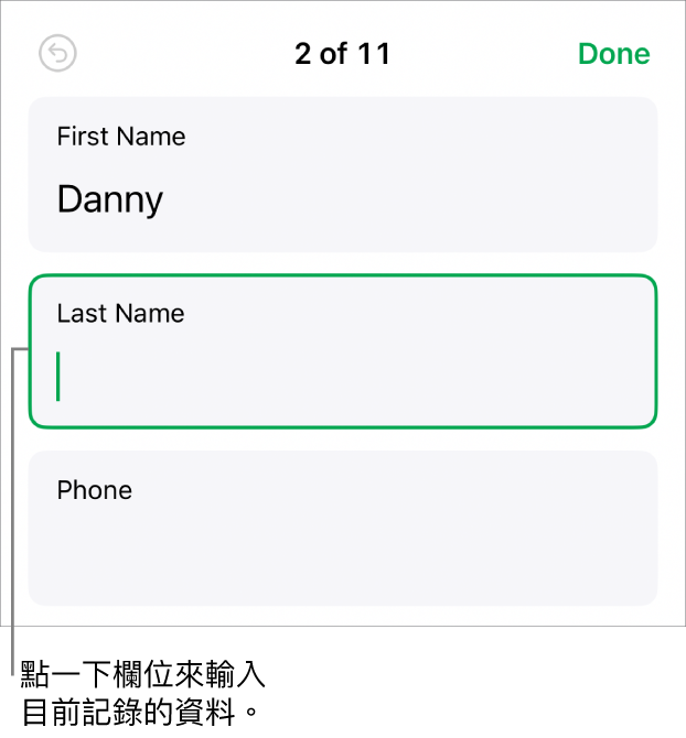 表單中的記錄，顯示一個包含插入點的活躍欄位。