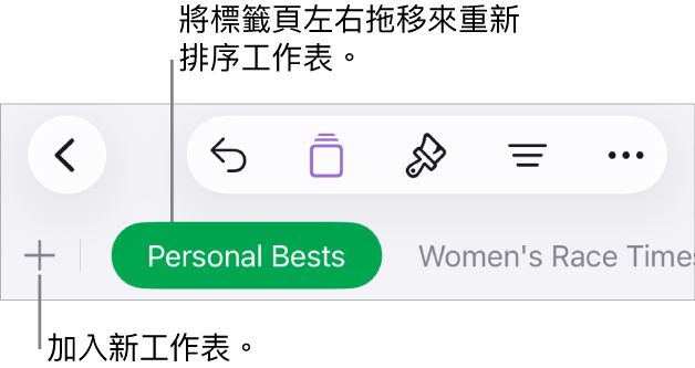 加入新工作表的標籤頁列、導覽、重新排序和重新整理工作表。