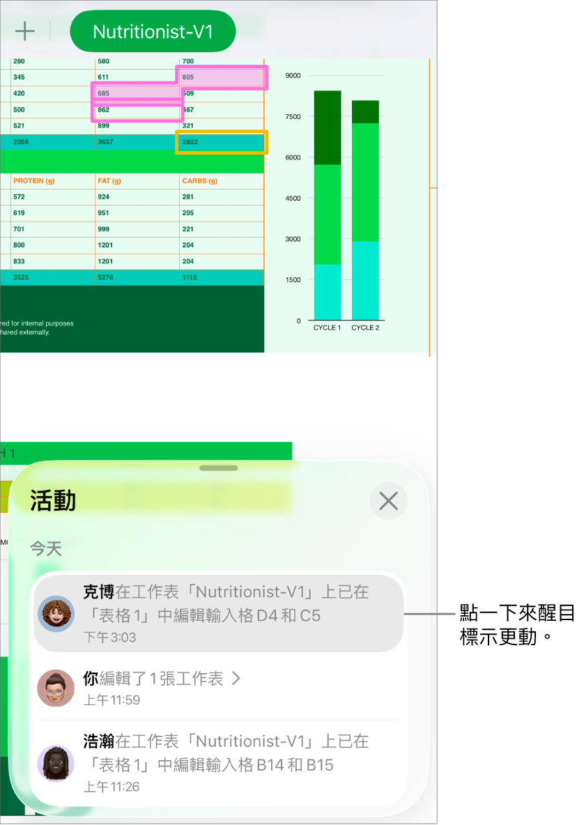 合作試算表帶有開啟的合作選單和活動列表。