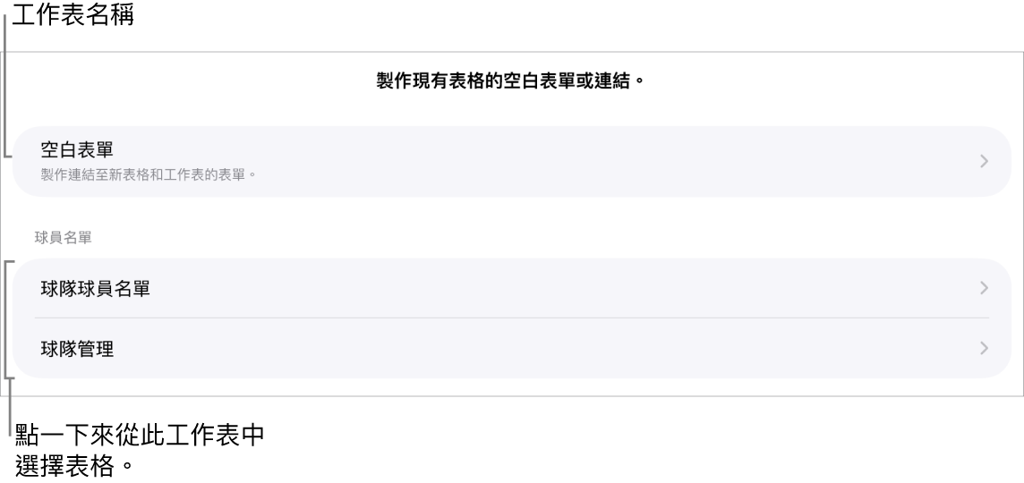 位於同一試算表中的表格列表,最上方為製作空白表單的選項。