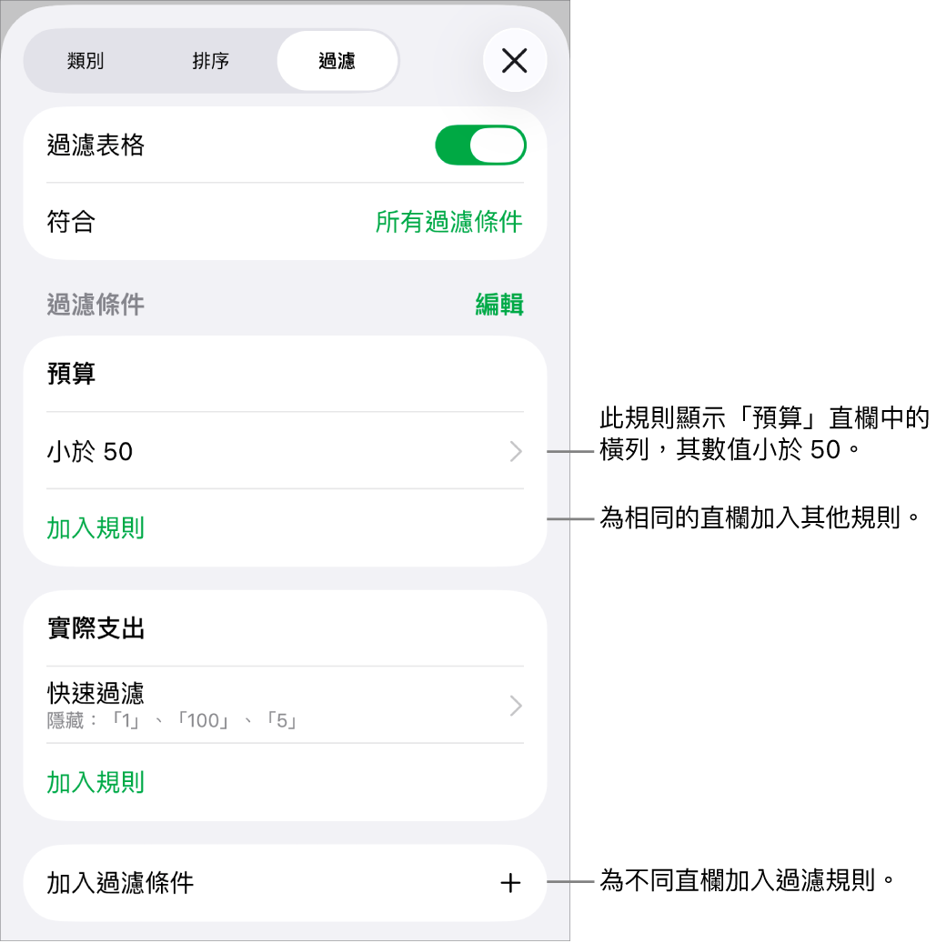 控制項目，用於加入新過濾規則或編輯現有過濾規則。