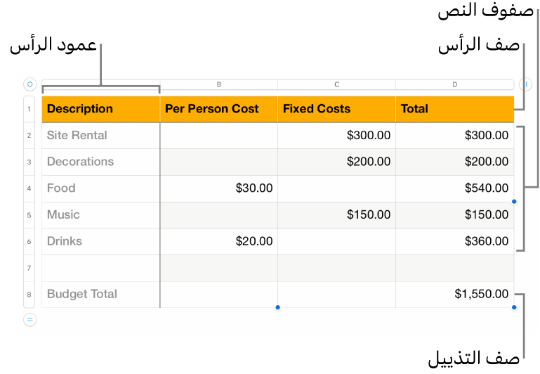 جدول يعرض صفوف وأعمدة الرأس، والمحتوى، والتذييل.