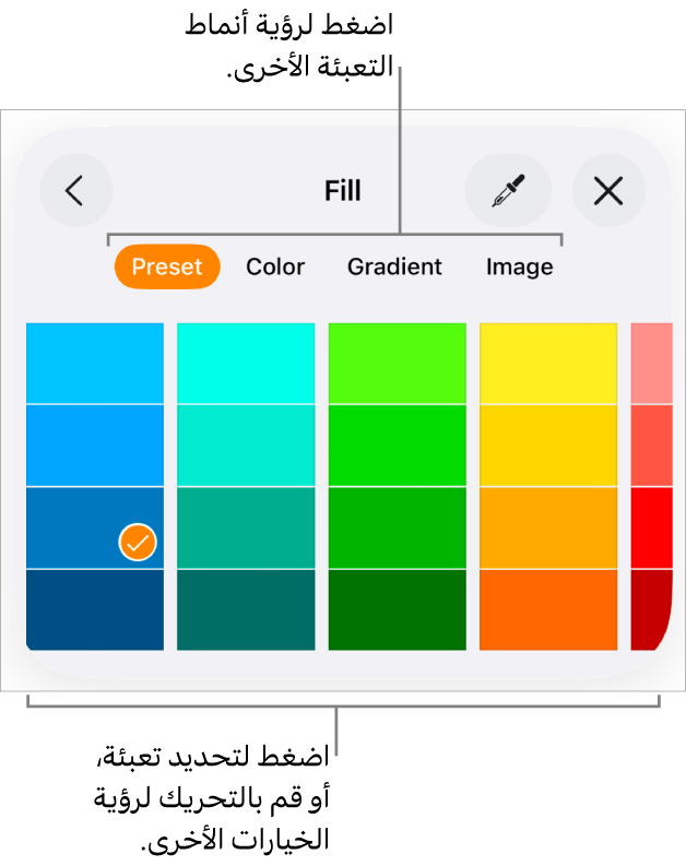 خيارات تعبئة في علامة تبويب النمط الخاص بزر التنسيق.