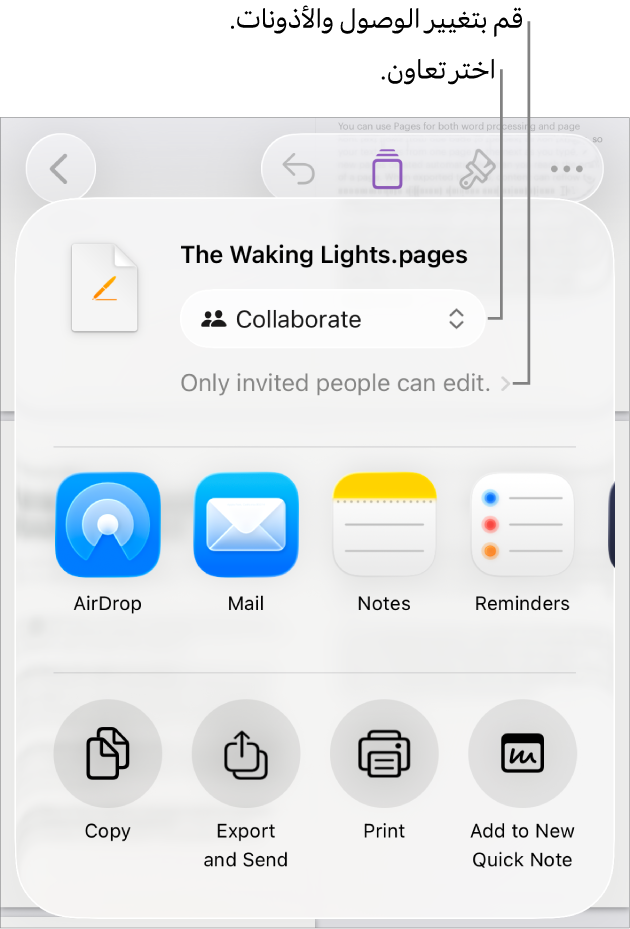 القائمة مشاركة حيث يظهر بها الخيار تعاون محددًا في الجزء العلوي، وإعدادات الوصول والأذونات في الجزء السفلي.