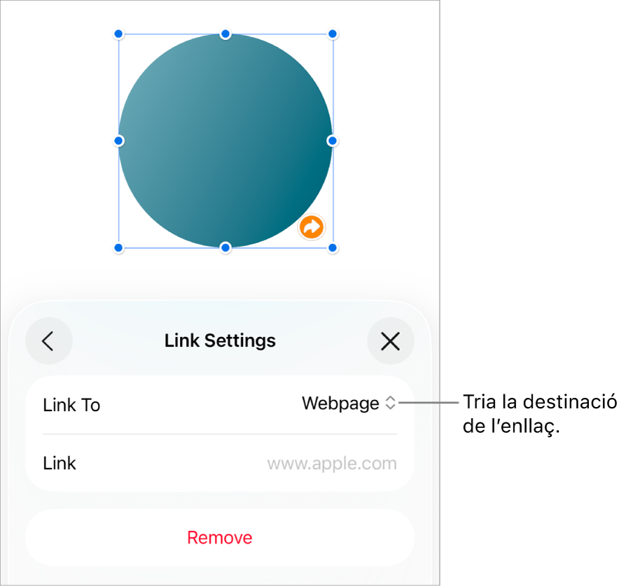 Controls “Paràmetres d’enllaç” amb l’opció “Pàgina web” seleccionada i el botó “Elimina” situat a la part inferior.