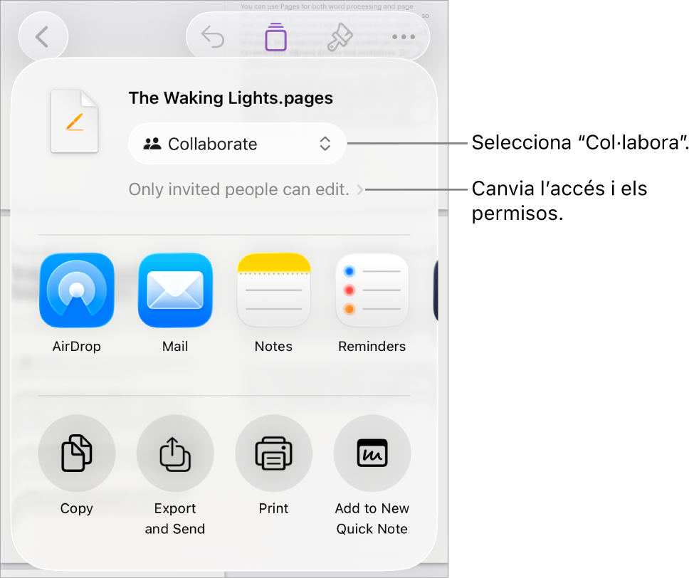 Menú “Comparteix” amb l’opció “Col·labora” seleccionada a la part superior i la configuració dels permisos a sota.