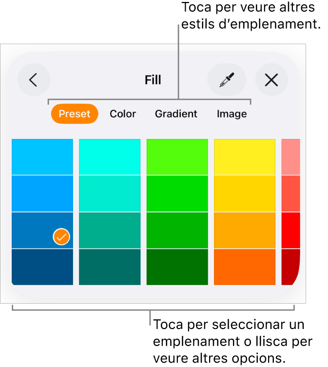 Opcions d’emplenament de la pestanya Estil del botó Format.