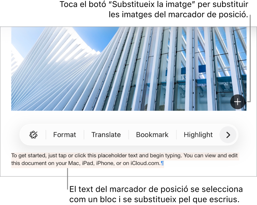 Text i imatges de marcador de posició.