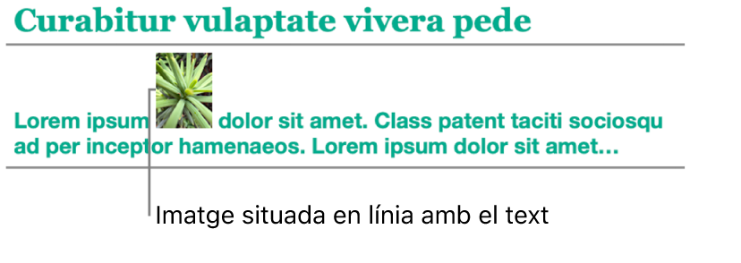 Imatge situant‑se integrada amb el text.
