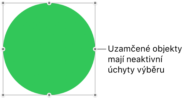 Uzamčený objekt s šedě zobrazenými úchyty výběru
