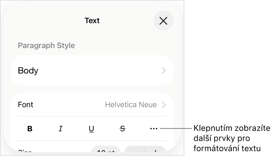 Panel Text v ovládacích prvcích formátování; popiskem je označeno tlačítko Další textové volby
