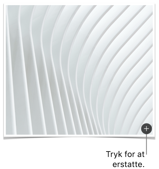 Et billede med knappen Erstat billede.