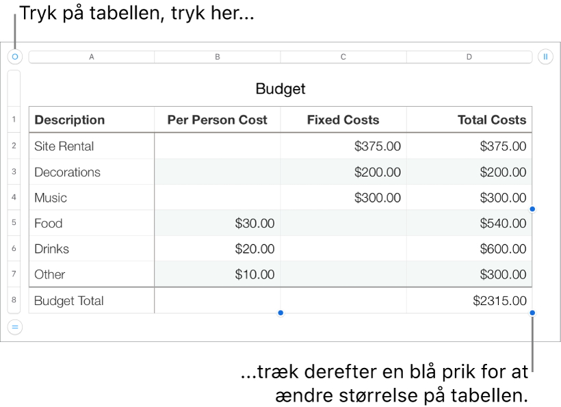 En valgt tabel med blå prikker til ændring af størrelse.