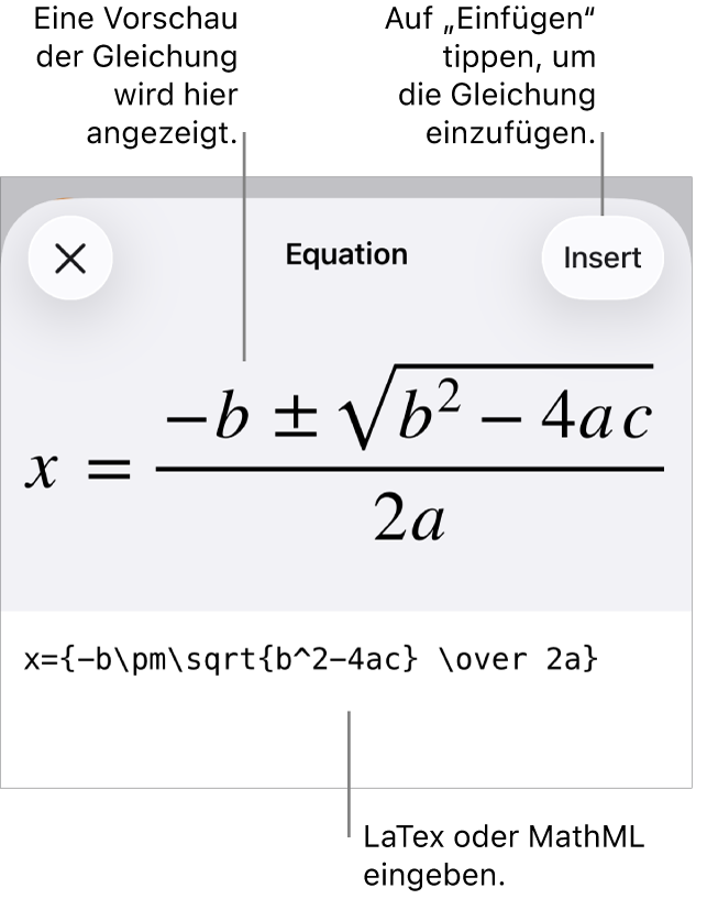 Im Dialogfenster „Gleichung“ wird eine Gleichung angezeigt, die mit MathML-Befehlen geschrieben wurde, darüber wird eine Vorschau der Formel angezeigt.