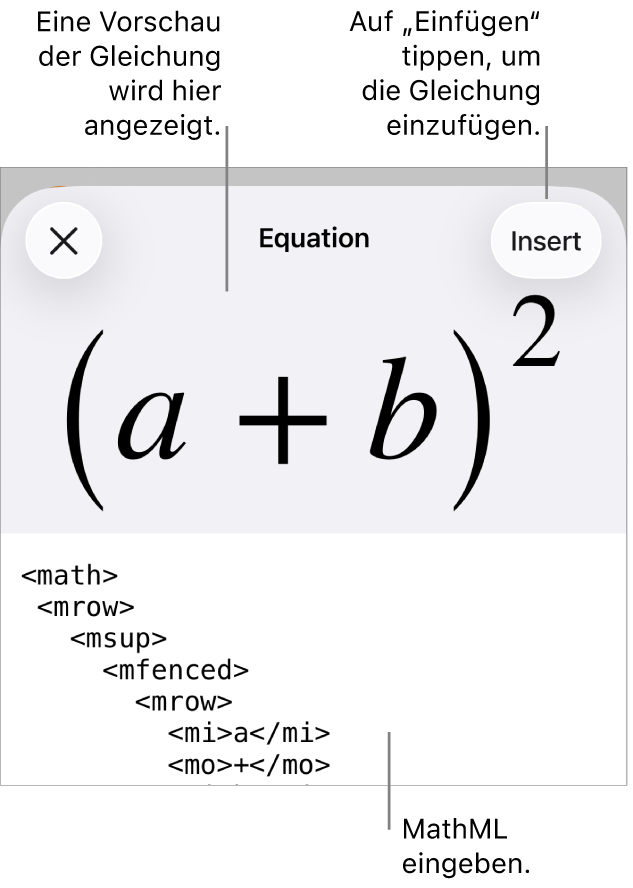 Im Dialogfenster „Gleichung“ wird eine Gleichung angezeigt, die mit MathML-Befehlen geschrieben wurde, darüber wird eine Vorschau der Formel angezeigt.