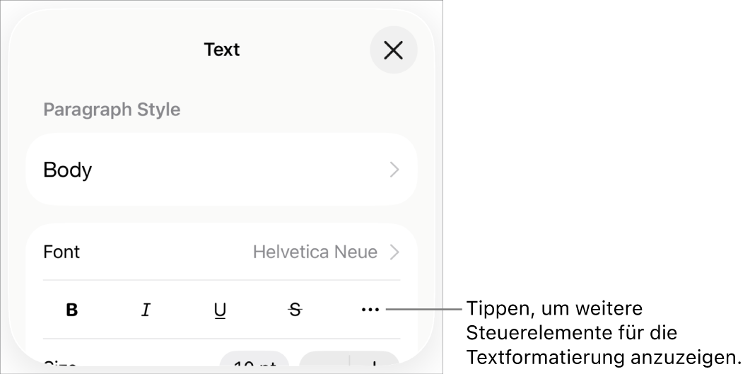 Der Tab „Text“ der Formatsteuerungen mit einer Beschreibung für die Taste „Weitere Textoptionen“.