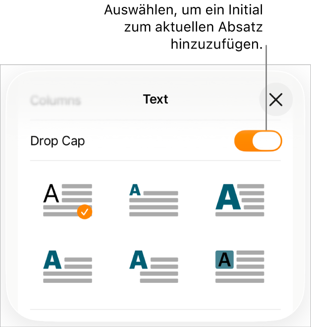 Die Steuerelemente „Initial“ im Menü „Text“