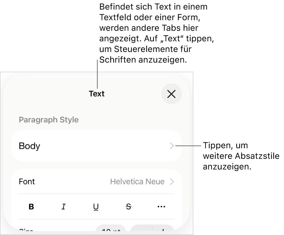 Das Menü „Format“ mit Textsteuerelementen zum Festlegen von Absatz- und Zeichenstilen, Schrift, Größe und Farbe