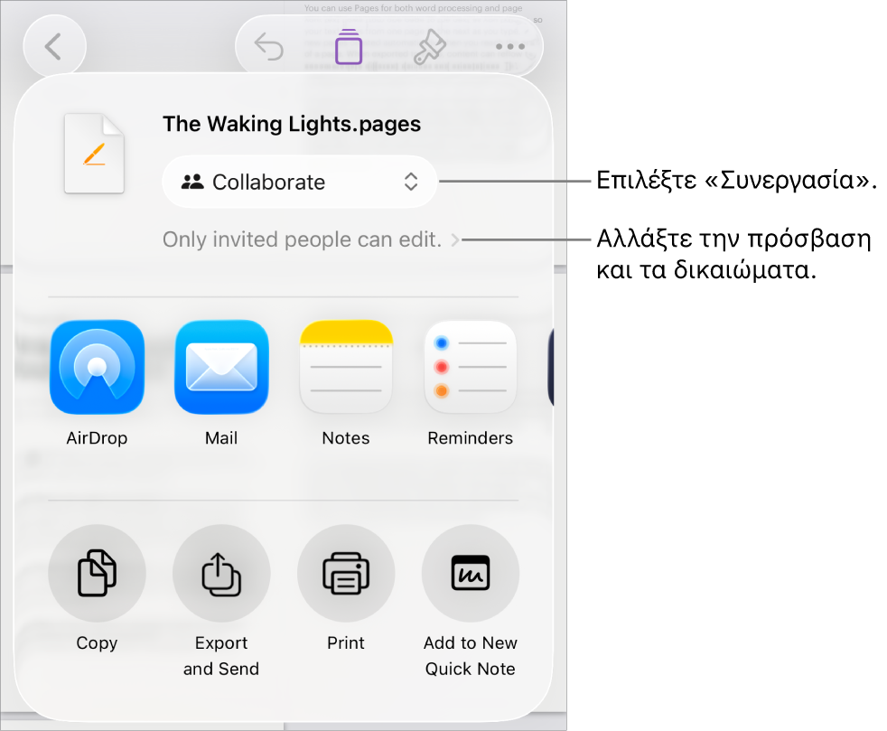 Το μενού «Κοινή χρήση» με επιλεγμένη τη «Συνεργασία» στο πάνω μέρος, και ρυθμίσεις πρόσβασης και δικαιωμάτων από κάτω.
